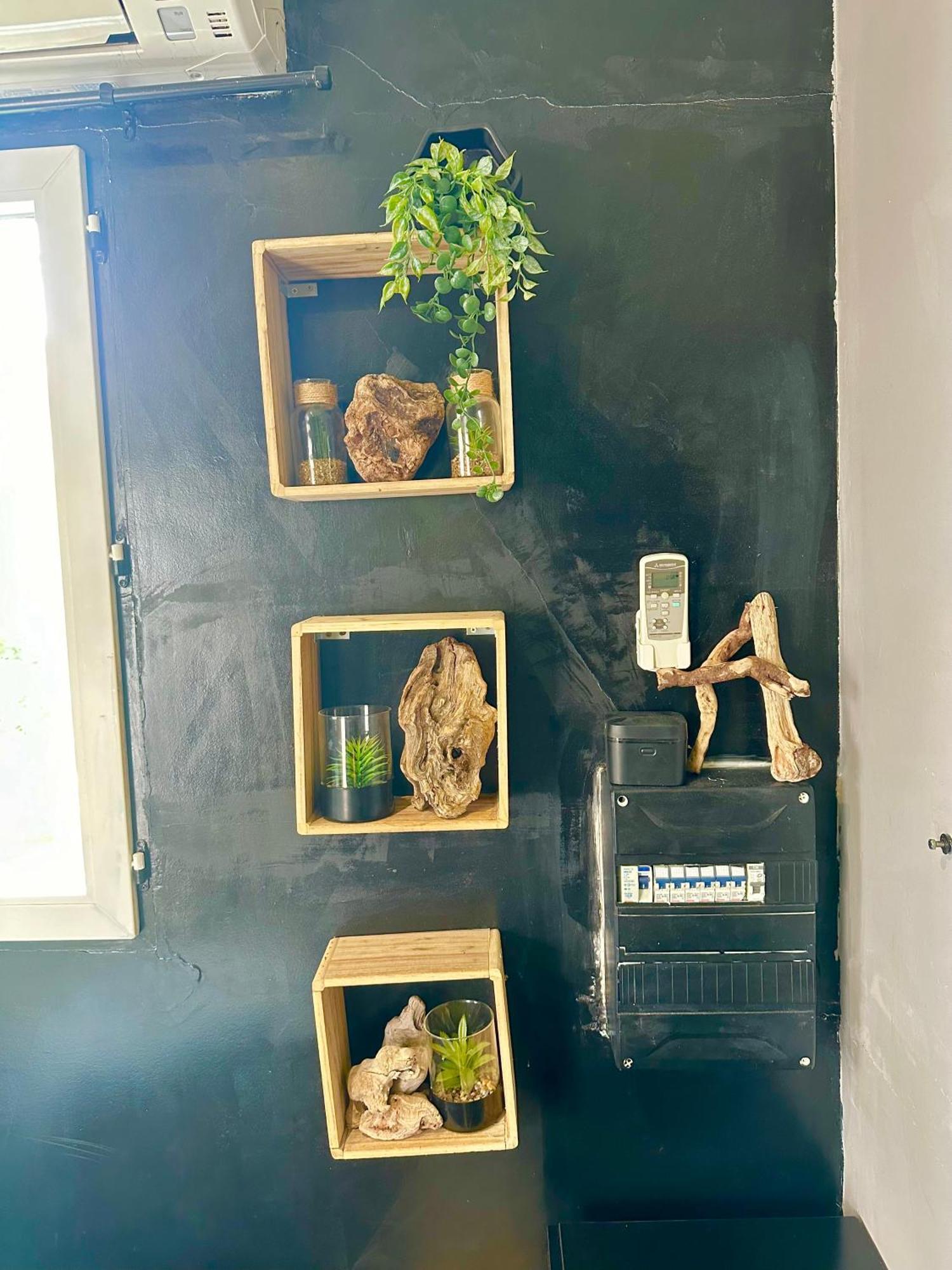 Apartment Jungle House *